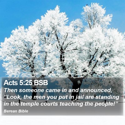 Acts 5:25 BSB Bible Verse Image