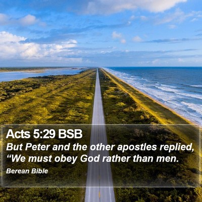 Acts 5:29 BSB Bible Verse Image