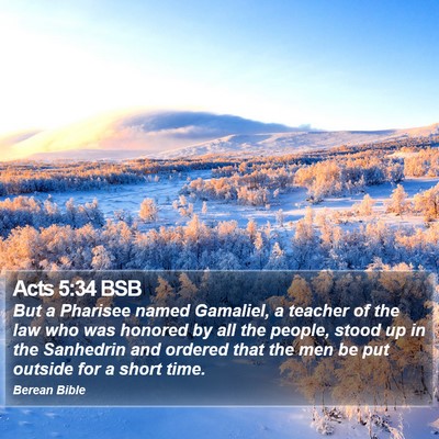Acts 5:34 BSB Bible Verse Image