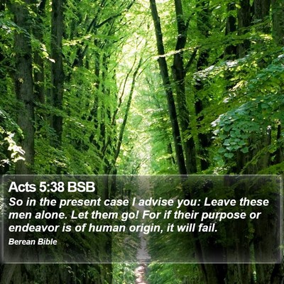 Acts 5:38 BSB Bible Verse Image