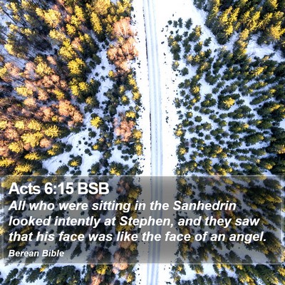 Acts 6:15 BSB Bible Verse Image