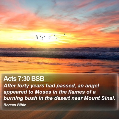 Acts 7:30 BSB Bible Verse Image