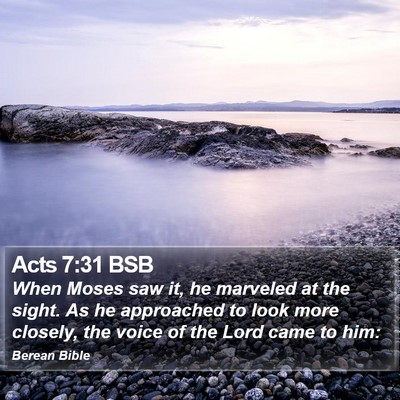 Acts 7:31 BSB Bible Verse Image