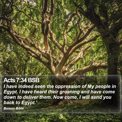 Acts 7:34 BSB Bible Verse Image
