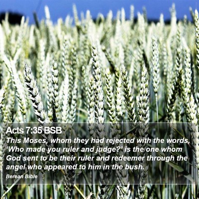Acts 7:35 BSB Bible Verse Image