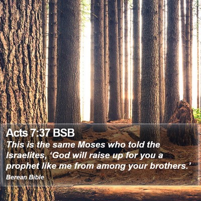 Acts 7:37 BSB Bible Verse Image
