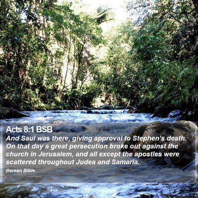 Acts 8:1 BSB Bible Verse Image