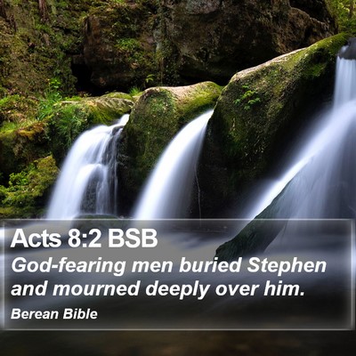 Acts 8:2 BSB Bible Verse Image