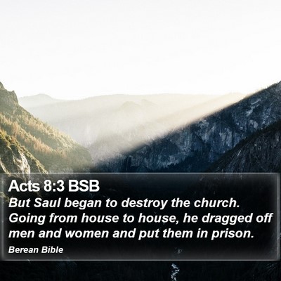 Acts 8:3 BSB Bible Verse Image