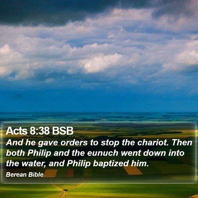 Acts 8:38 BSB Bible Verse Image
