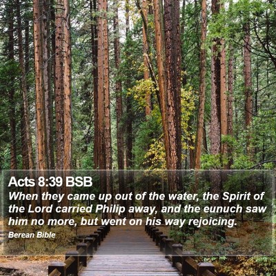 Acts 8:39 BSB Bible Verse Image