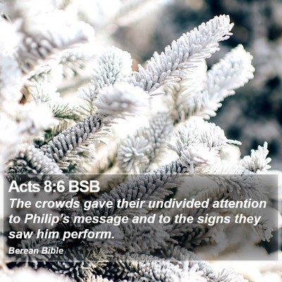 Acts 8:6 BSB Bible Verse Image