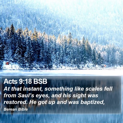 Acts 9:18 BSB Bible Verse Image