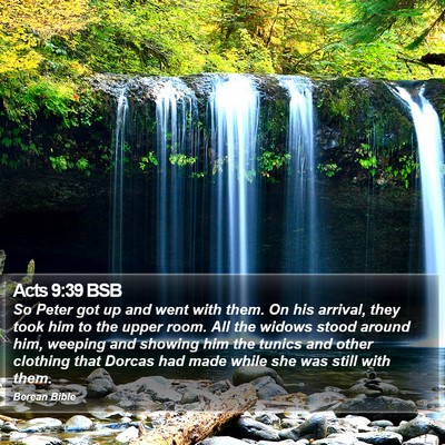 Acts 9:39 BSB Bible Verse Image
