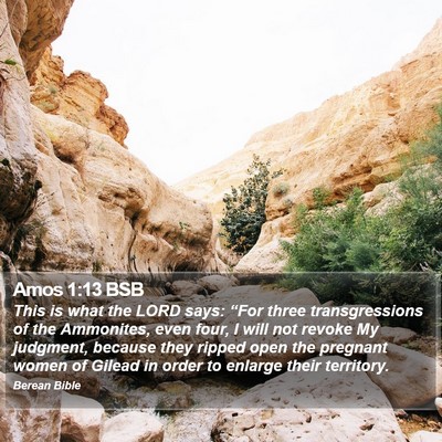 Amos 1:13 BSB Bible Verse Image