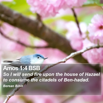 Amos 1:4 BSB Bible Verse Image