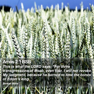 Amos 2:1 BSB Bible Verse Image