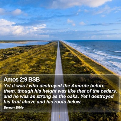 Amos 2:9 BSB Bible Verse Image