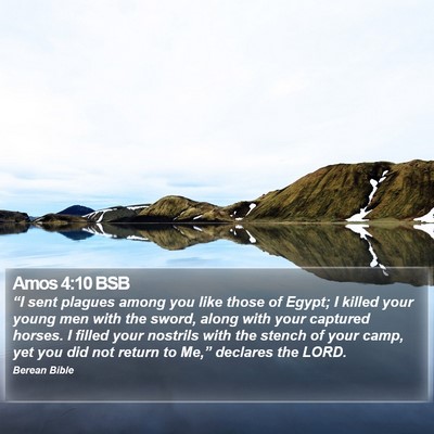 Amos 4:10 BSB Bible Verse Image