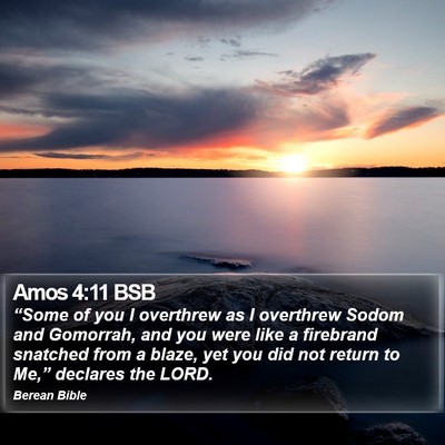 Amos 4:11 BSB Bible Verse Image