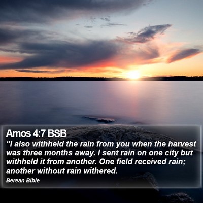 Amos 4:7 BSB Bible Verse Image