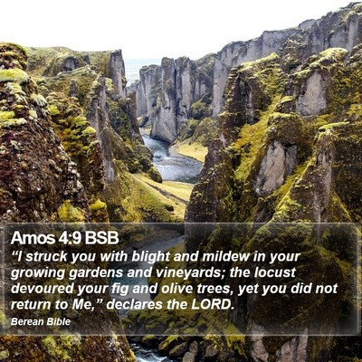 Amos 4:9 BSB Bible Verse Image