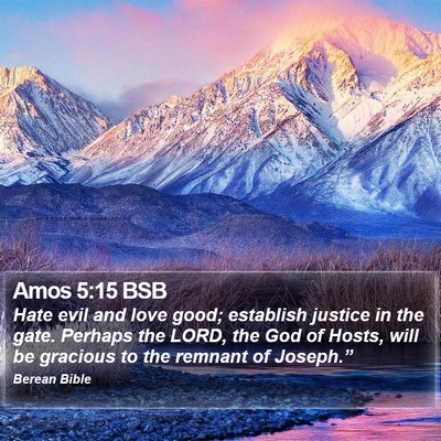 Amos 5:15 BSB Bible Verse Image