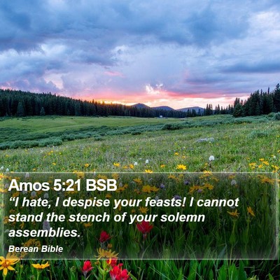 Amos 5:21 BSB Bible Verse Image