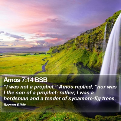 Amos 7:14 BSB Bible Verse Image
