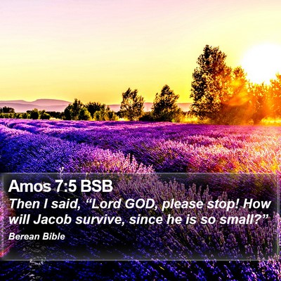 Amos 7:5 BSB Bible Verse Image