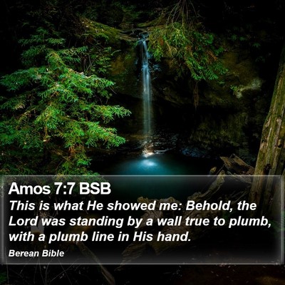 Amos 7:7 BSB Bible Verse Image