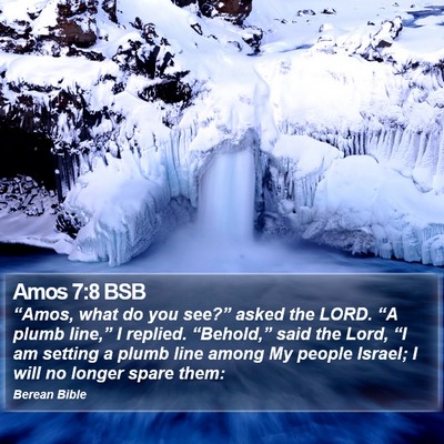 Amos 7:8 BSB Bible Verse Image