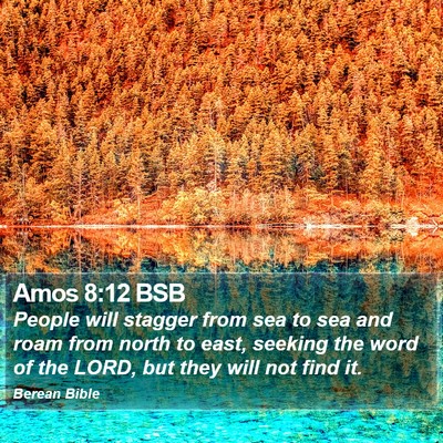 Amos 8:12 BSB Bible Verse Image