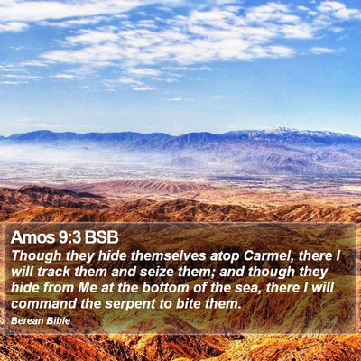 Amos 9:3 BSB Bible Verse Image