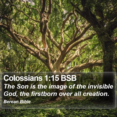 Colossians 1:15 BSB Bible Verse Image