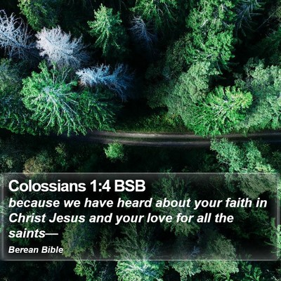 Colossians 1:4 BSB Bible Verse Image