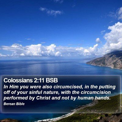Colossians 2:11 BSB Bible Verse Image