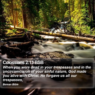 Colossians 2:13 BSB Bible Verse Image