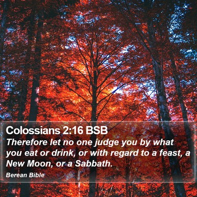 Colossians 2:16 BSB Bible Verse Image