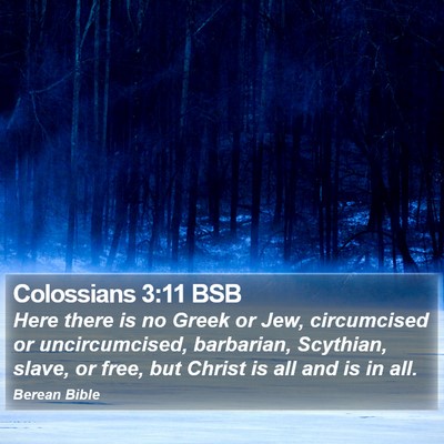 Colossians 3:11 BSB Bible Verse Image