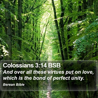 Colossians 3:14 BSB Bible Verse Image