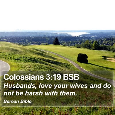 Colossians 3:19 BSB Bible Verse Image
