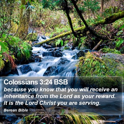 Colossians 3:24 BSB Bible Verse Image