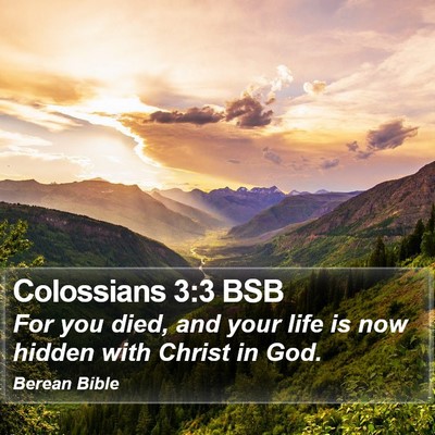 Colossians 3:3 BSB Bible Verse Image