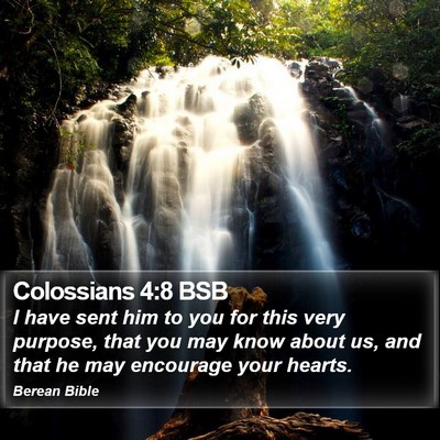 Colossians 4:8 BSB Bible Verse Image