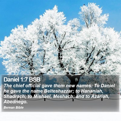 Daniel 1:7 BSB Bible Verse Image