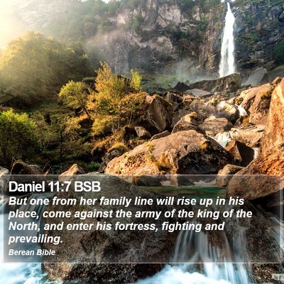 Daniel 11:7 BSB Bible Verse Image