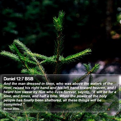 Daniel 12:7 BSB Bible Verse Image