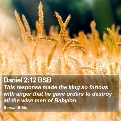 Daniel 2:12 BSB Bible Verse Image