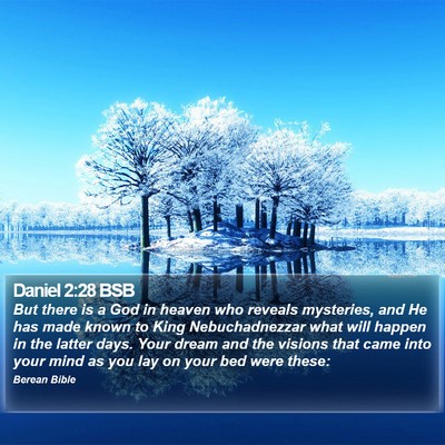 Daniel 2:28 BSB Bible Verse Image